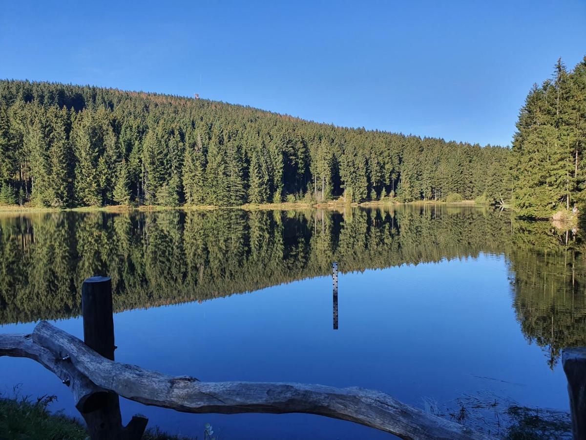 Harz Enjoy - Vier Jahreszeiten Гослар Экстерьер фото